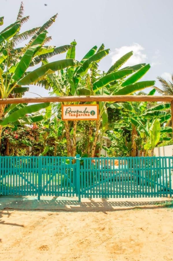 Tangerina — foto 10