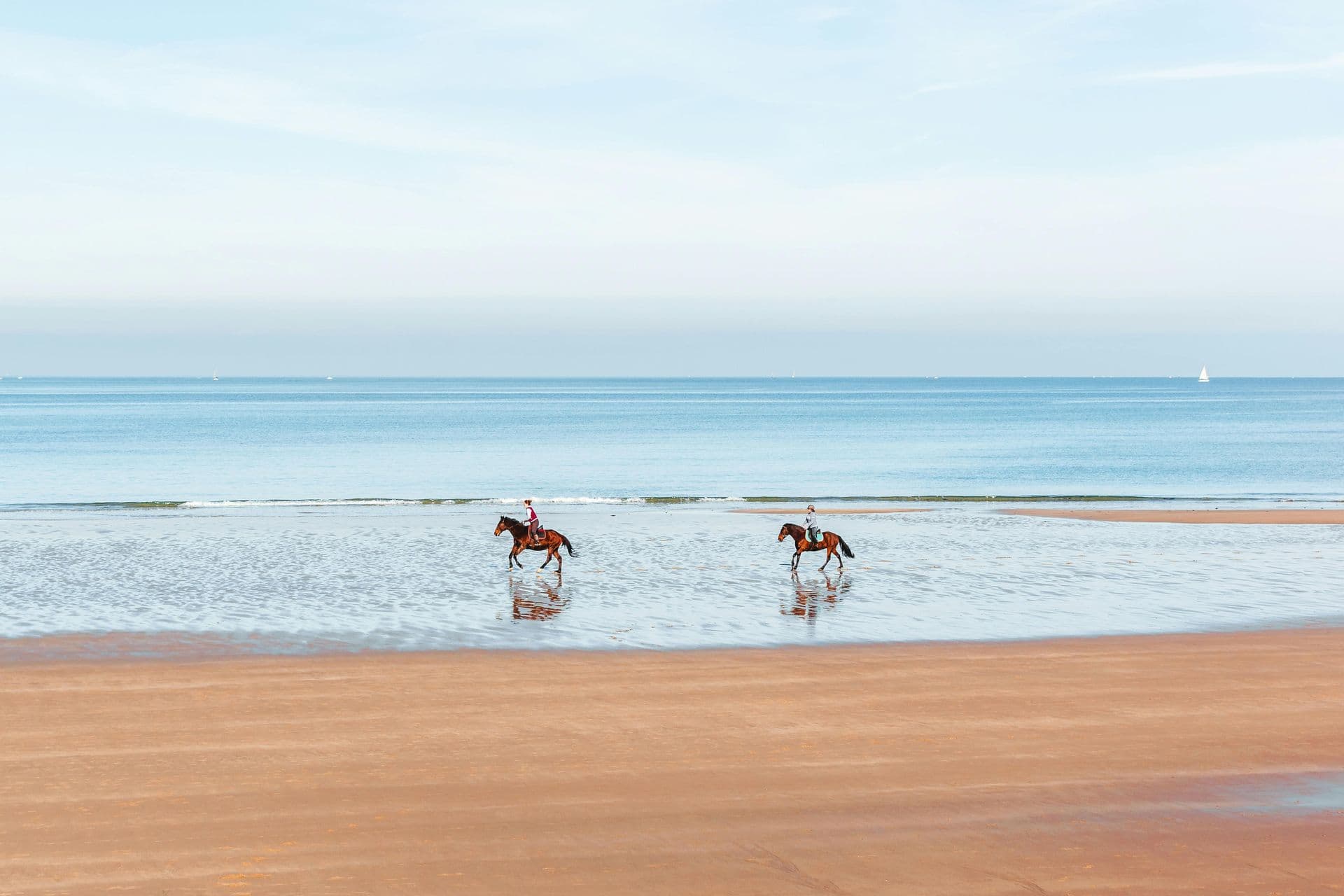 Passeios a cavalo — foto 1